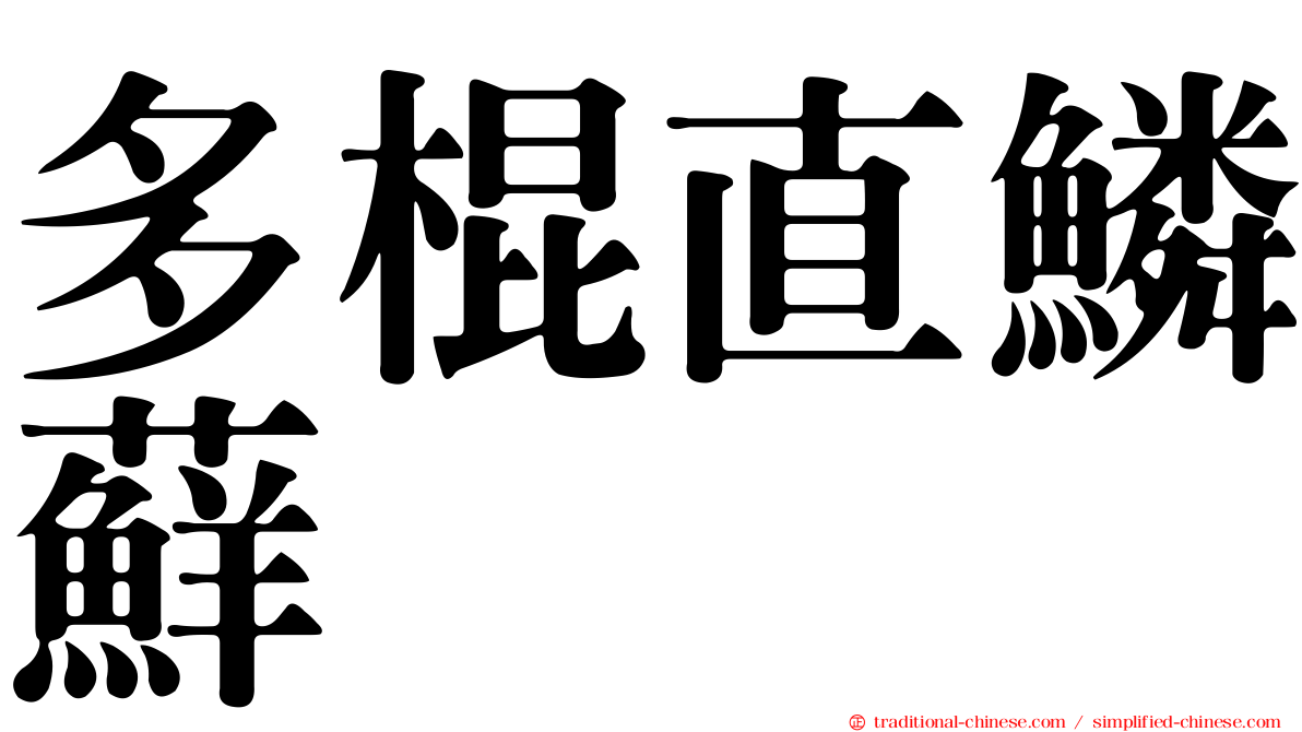 多棍直鱗蘚