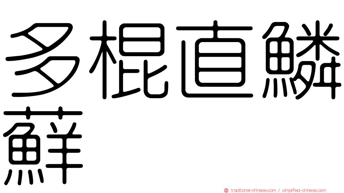多棍直鱗蘚