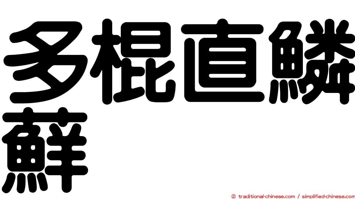 多棍直鱗蘚