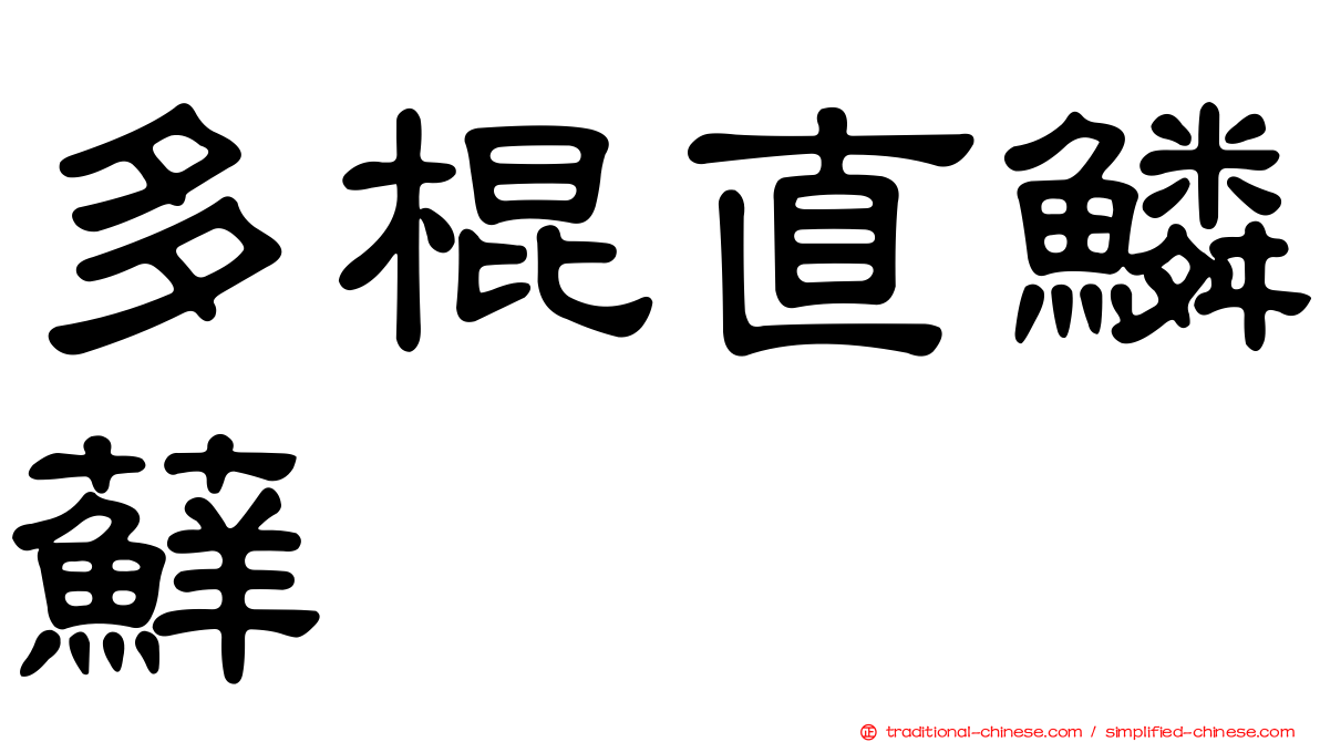 多棍直鱗蘚