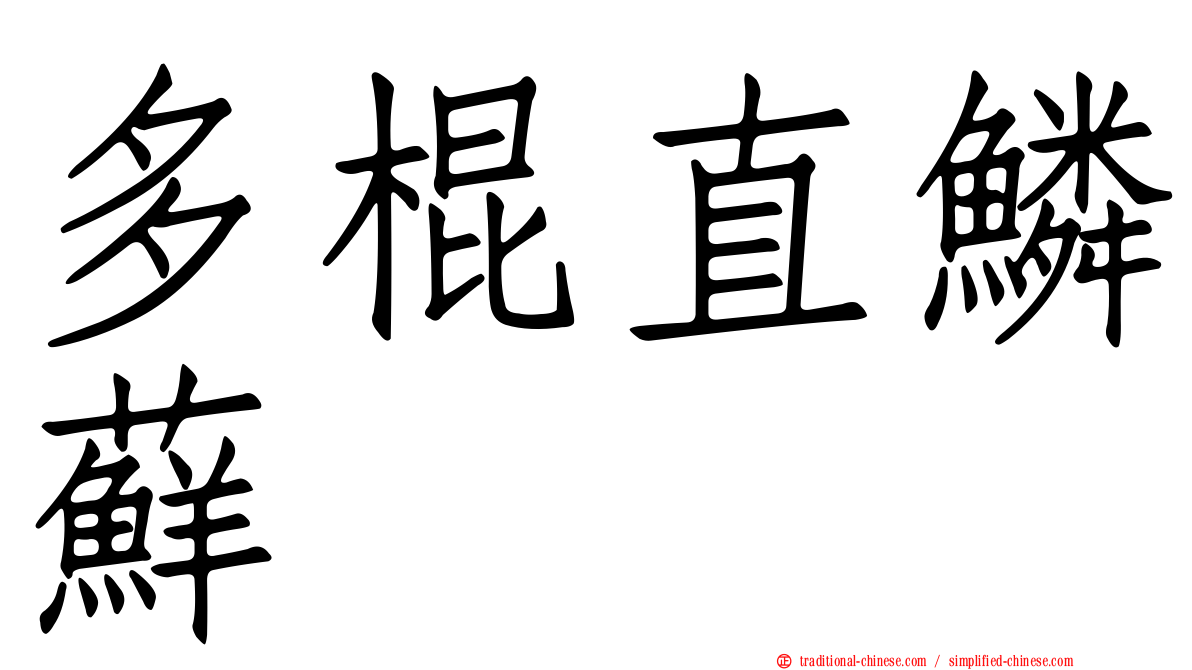 多棍直鱗蘚