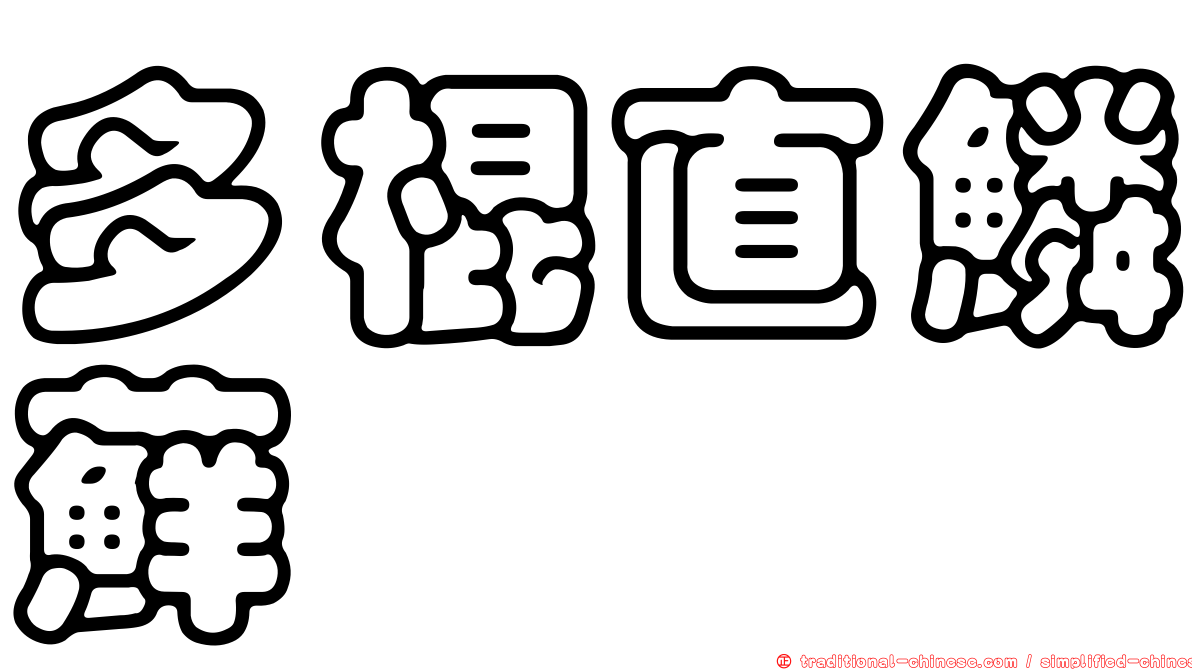 多棍直鱗蘚
