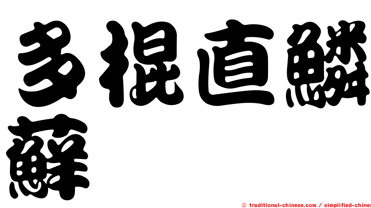 多棍直鱗蘚