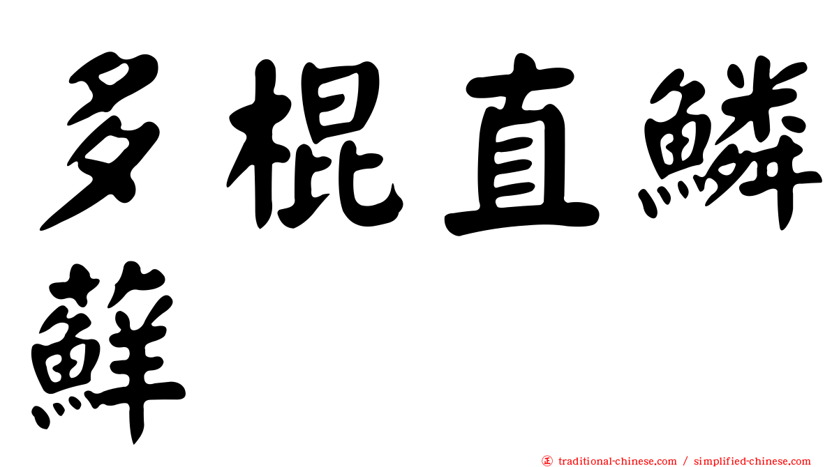 多棍直鱗蘚