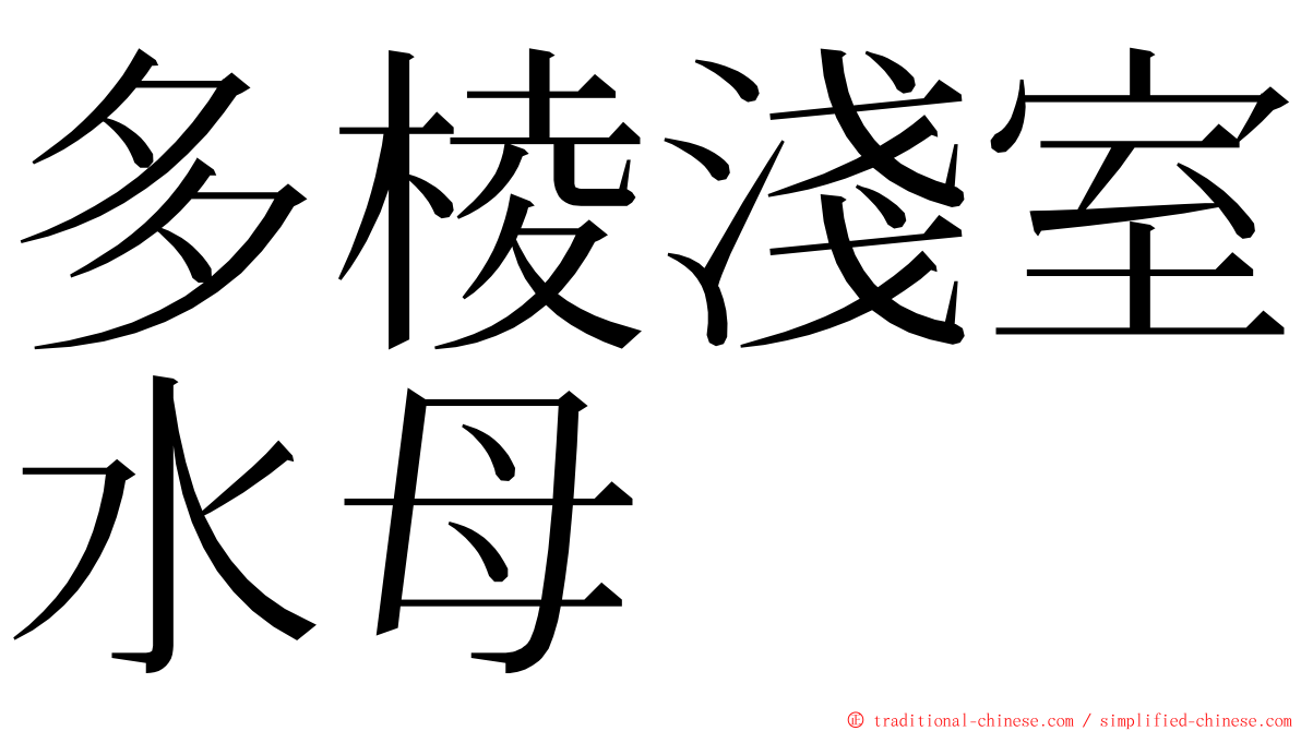 多棱淺室水母 ming font