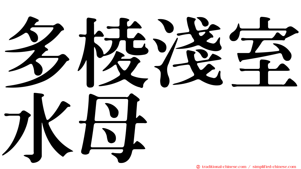 多棱淺室水母