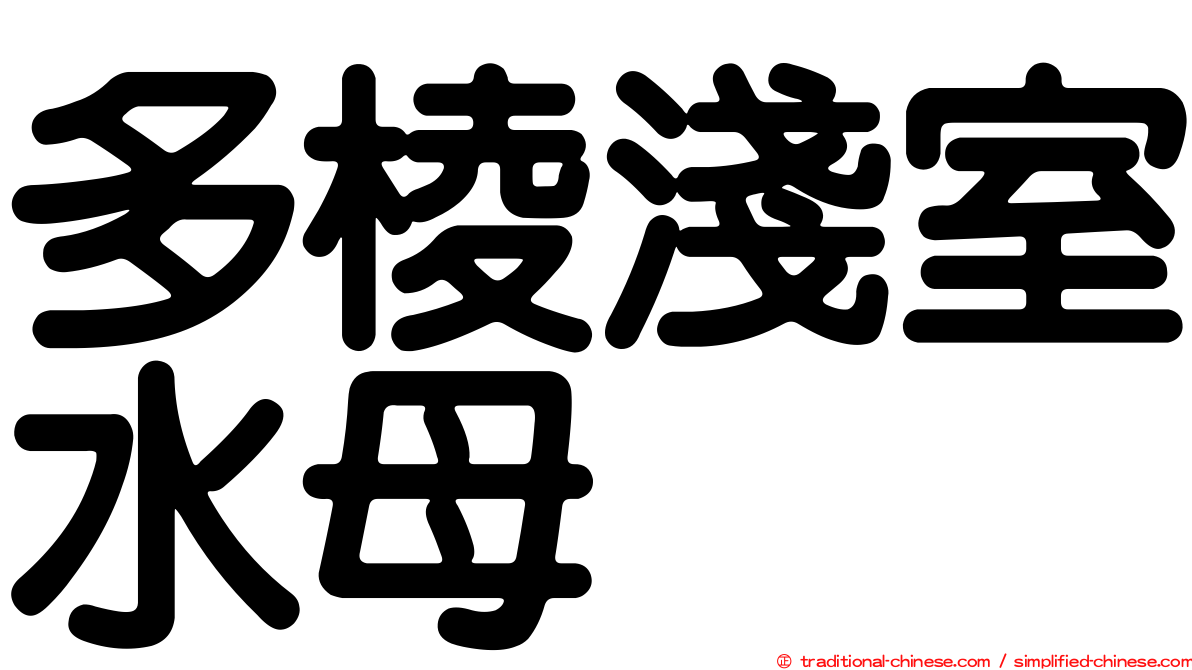 多棱淺室水母