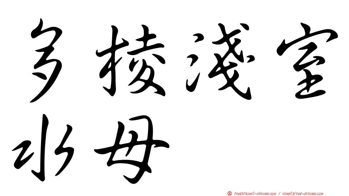 多棱淺室水母