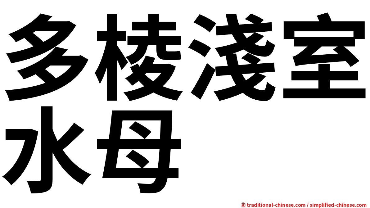 多棱淺室水母