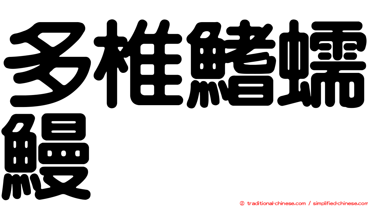 多椎鰭蠕鰻