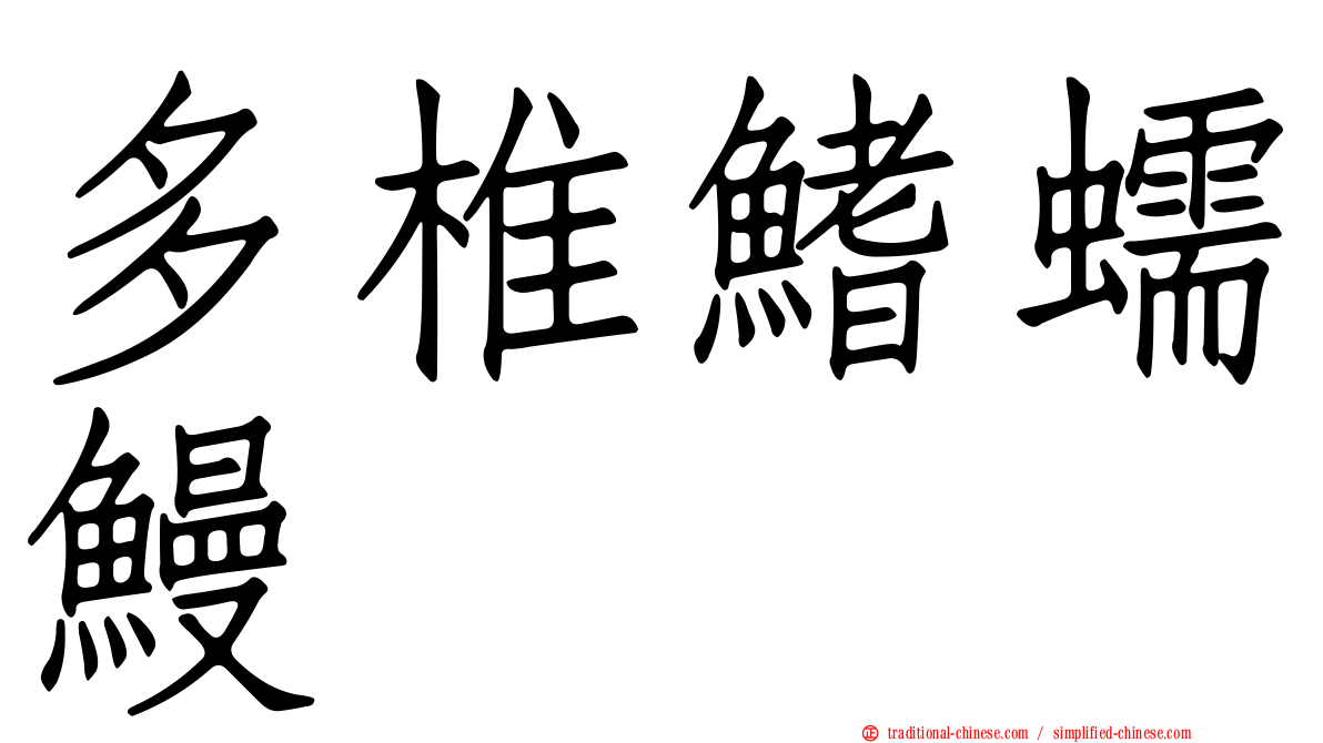 多椎鰭蠕鰻
