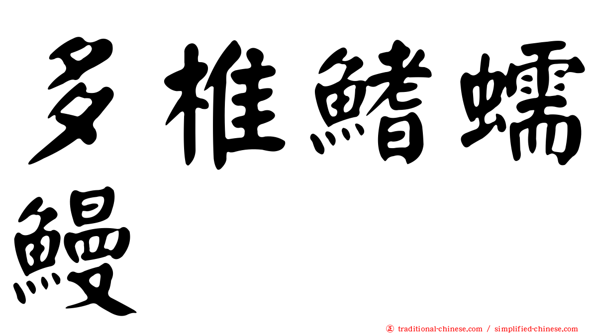 多椎鰭蠕鰻
