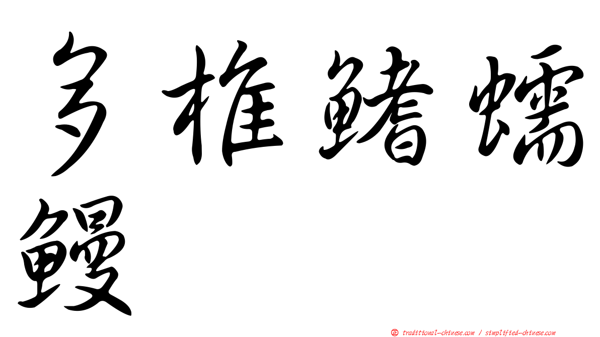 多椎鰭蠕鰻
