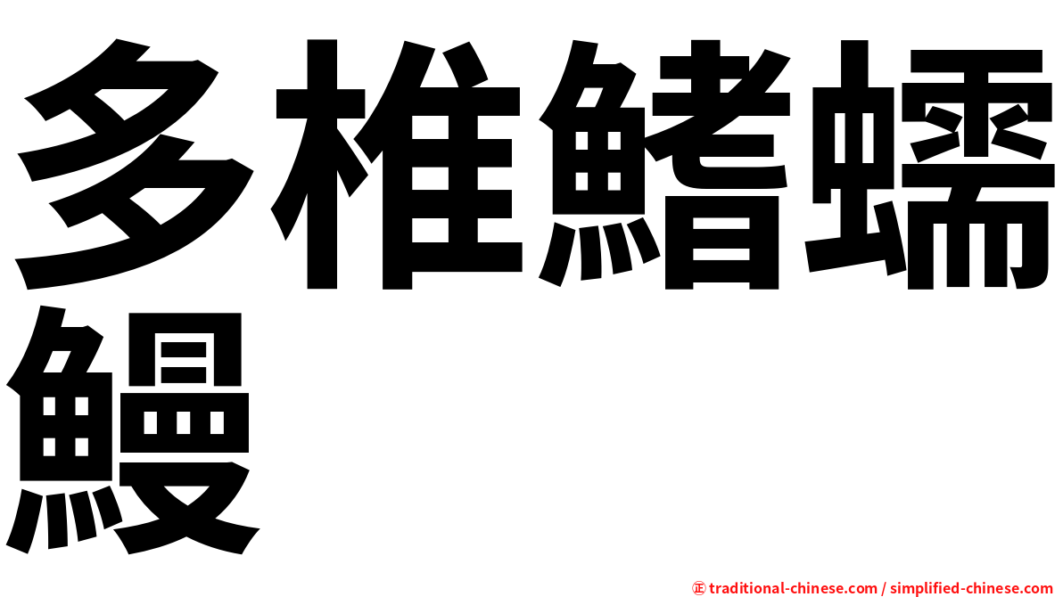 多椎鰭蠕鰻