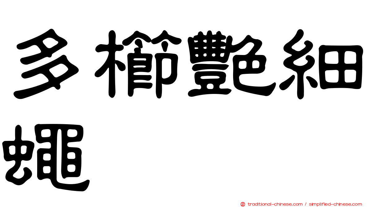 多櫛艷細蠅