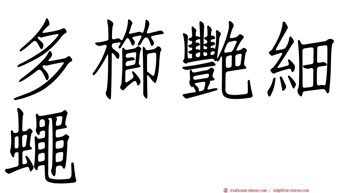 多櫛艷細蠅