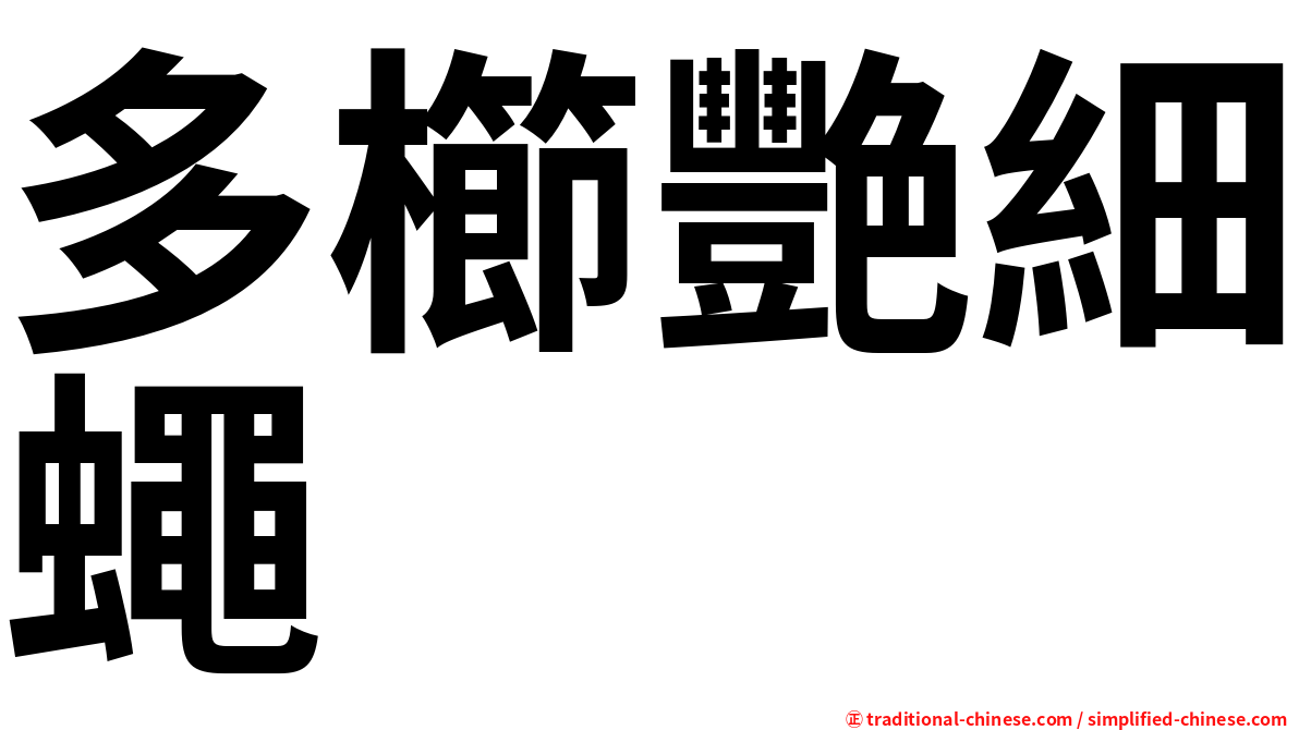 多櫛艷細蠅