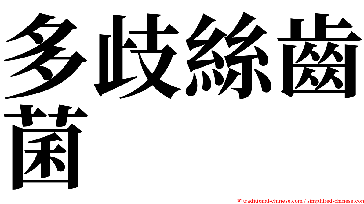 多歧絲齒菌 serif font