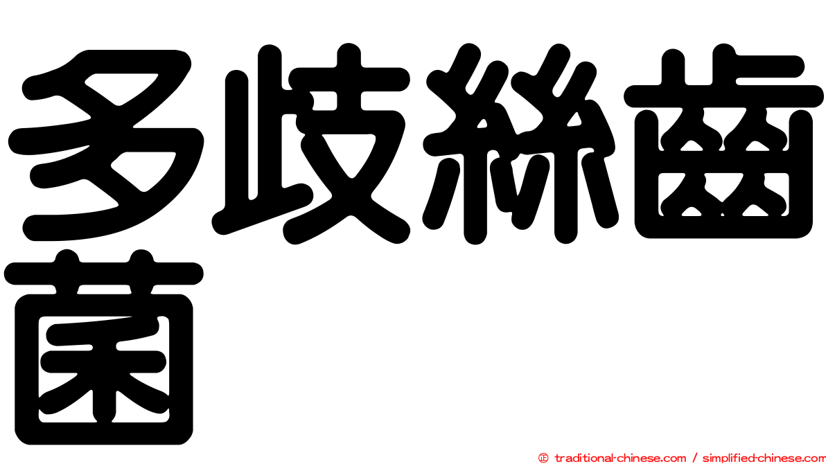 多歧絲齒菌