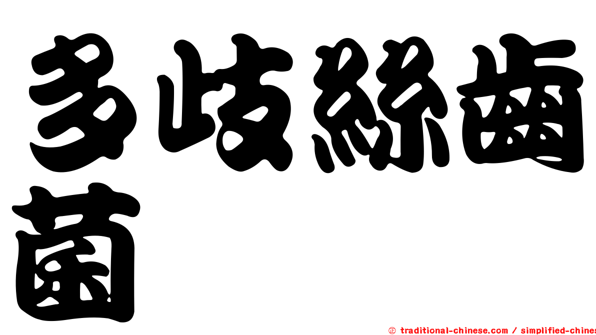 多歧絲齒菌