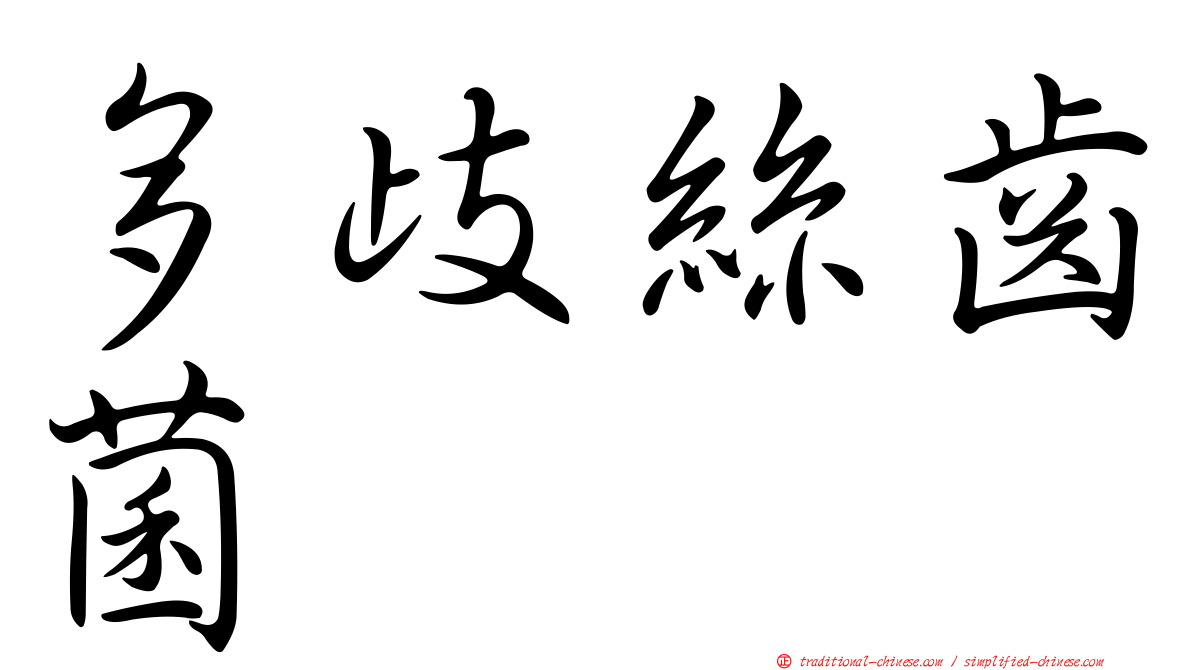 多歧絲齒菌