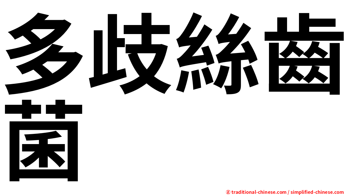 多歧絲齒菌