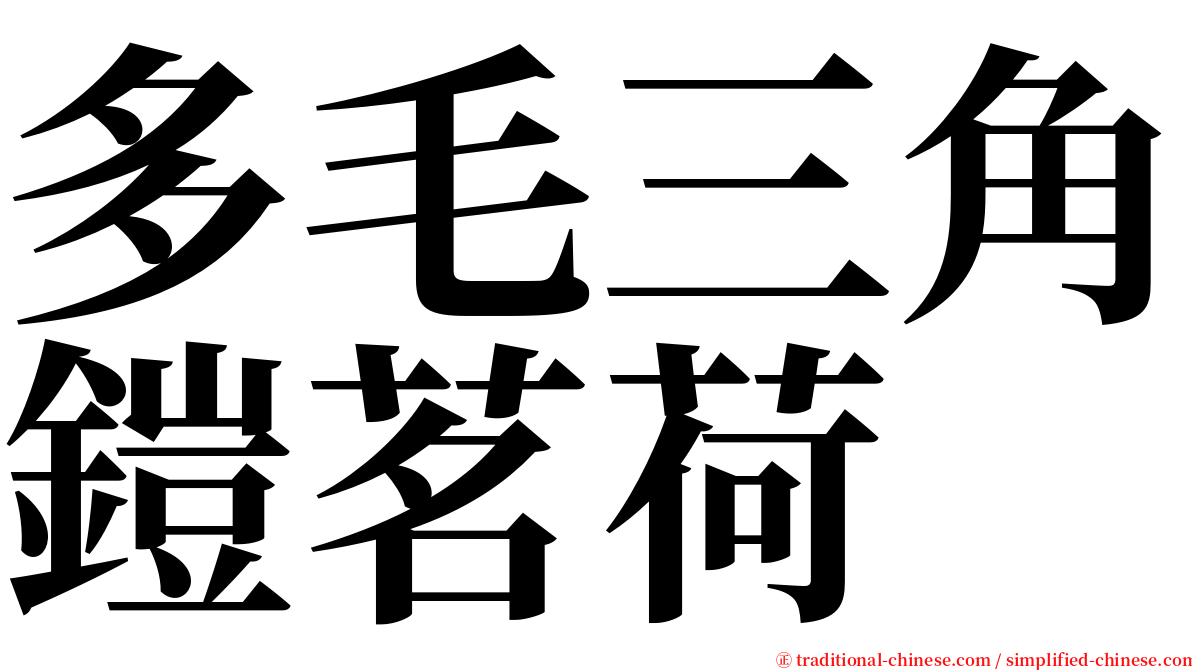 多毛三角鎧茗荷 serif font