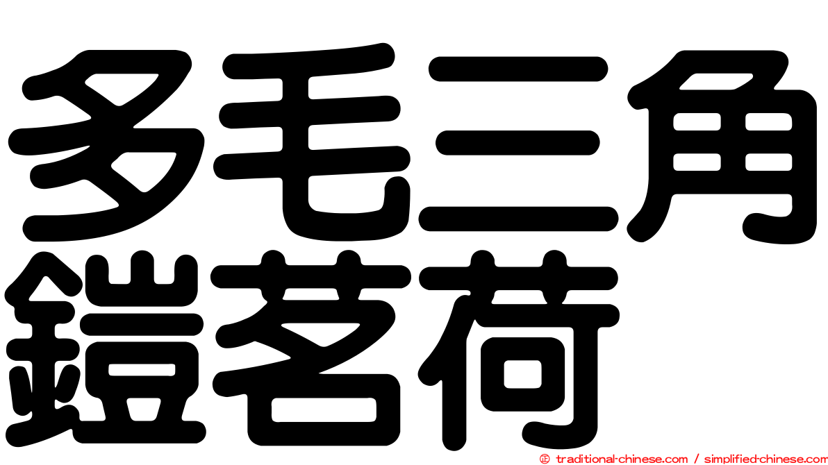 多毛三角鎧茗荷