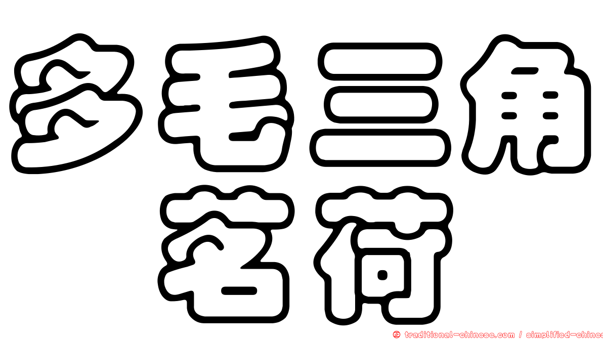 多毛三角鎧茗荷
