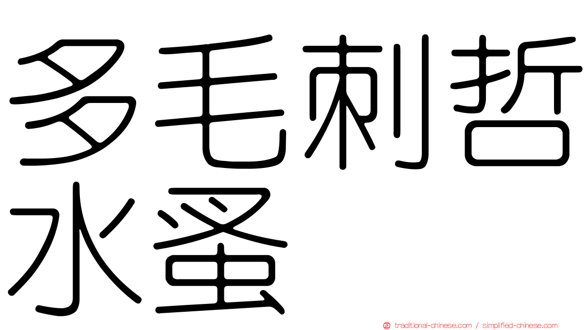 多毛刺哲水蚤