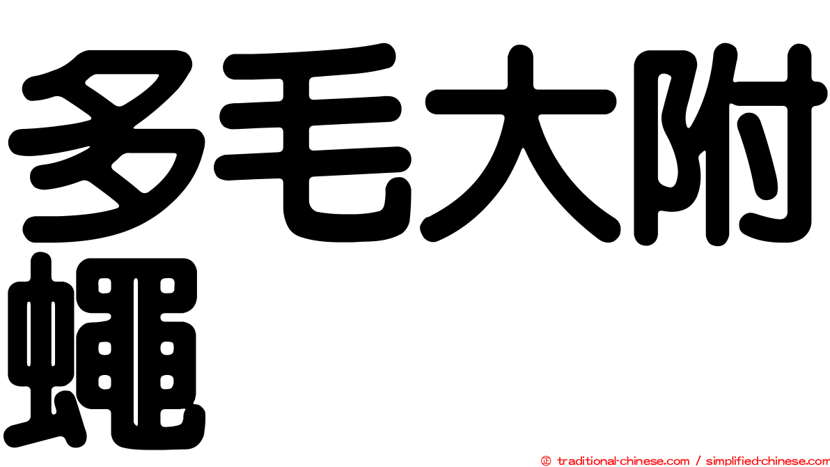 多毛大附蠅
