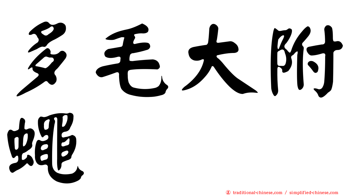 多毛大附蠅