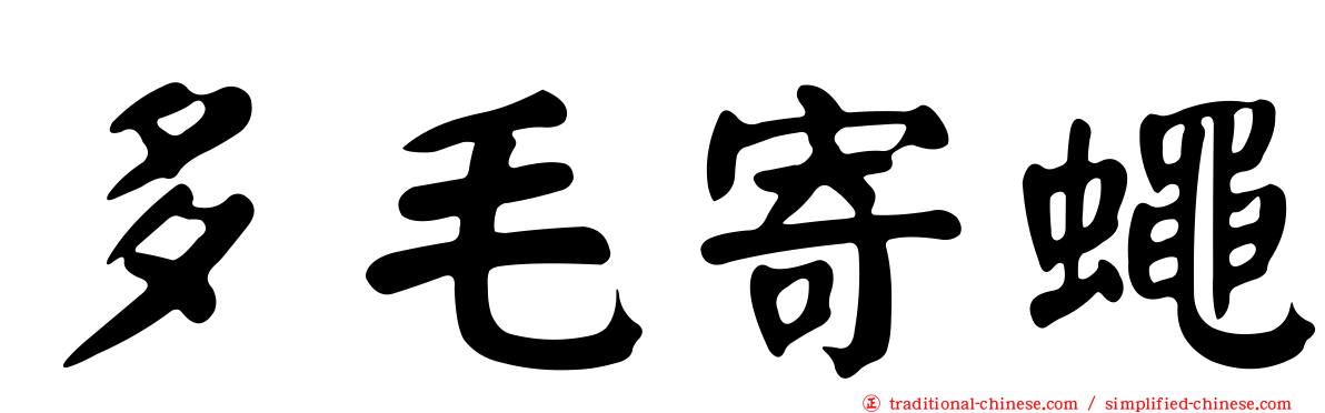 多毛寄蠅