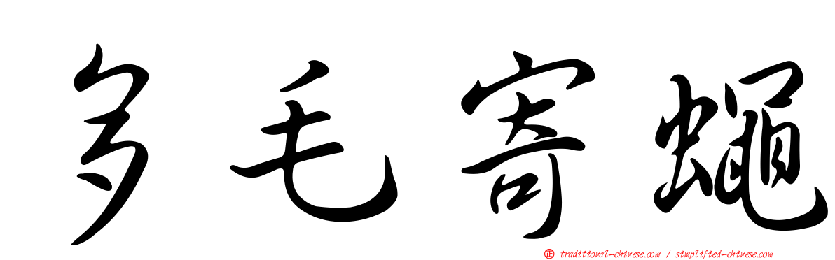 多毛寄蠅