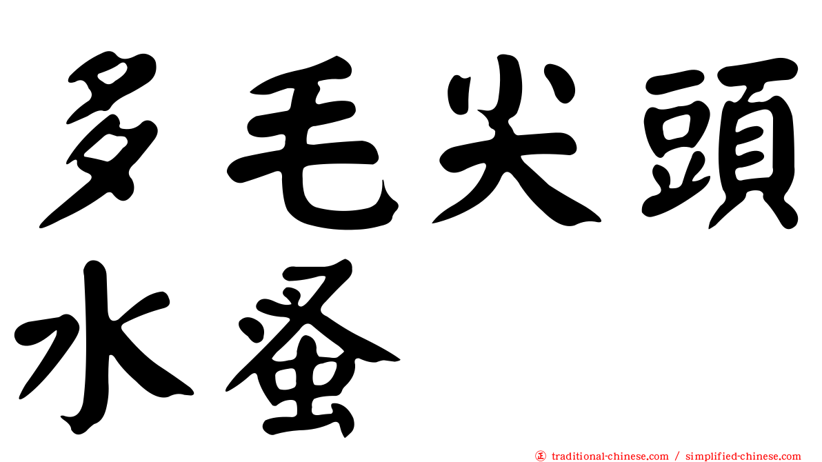 多毛尖頭水蚤