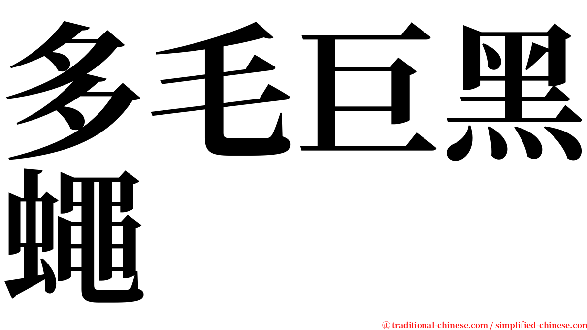 多毛巨黑蠅 serif font