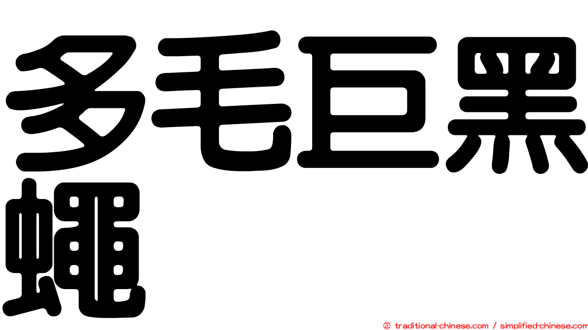 多毛巨黑蠅