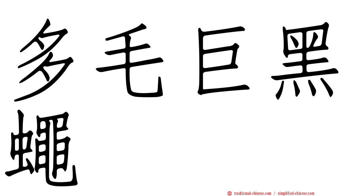 多毛巨黑蠅