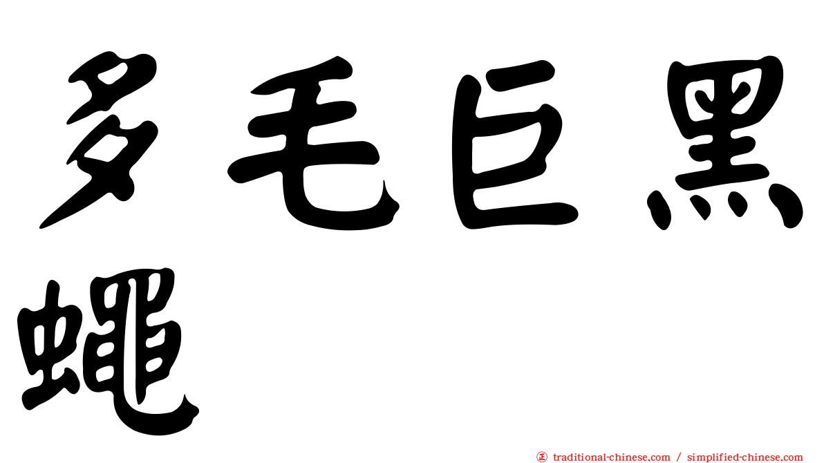 多毛巨黑蠅