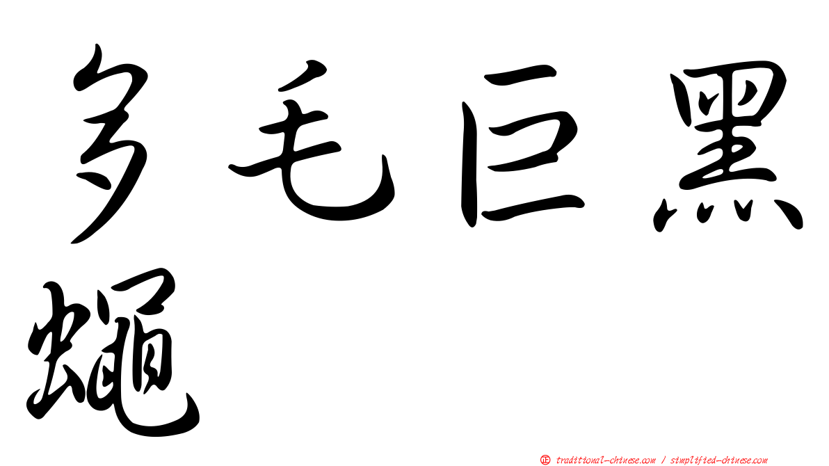 多毛巨黑蠅