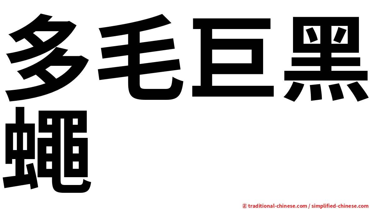 多毛巨黑蠅