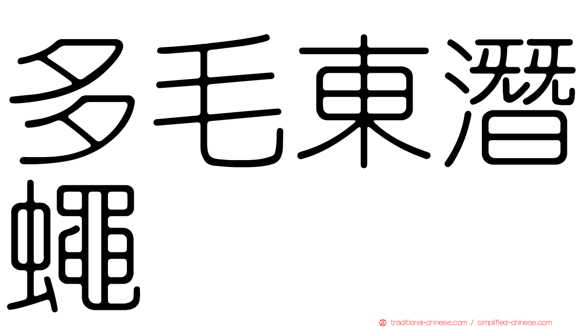 多毛東潛蠅