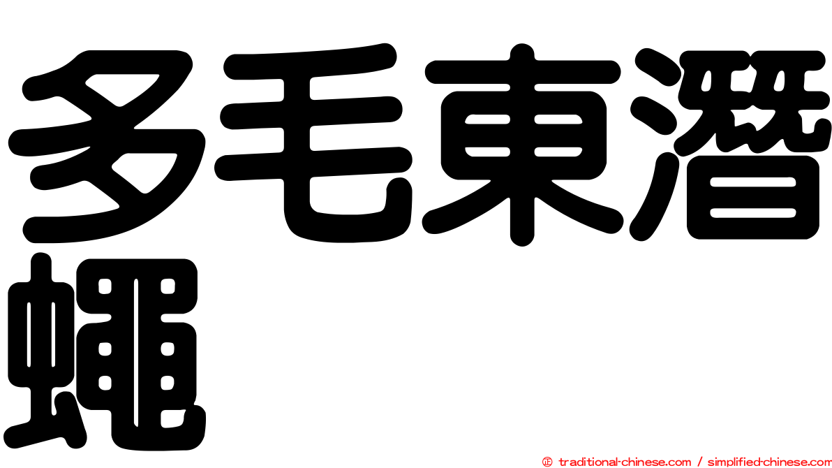 多毛東潛蠅
