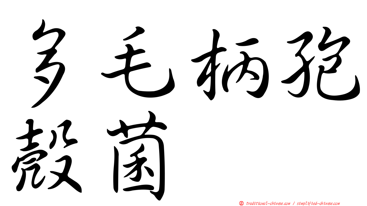 多毛柄孢殼菌