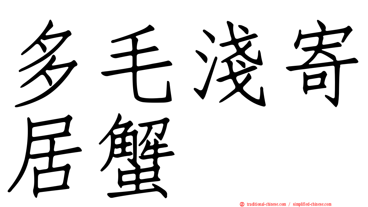 多毛淺寄居蟹