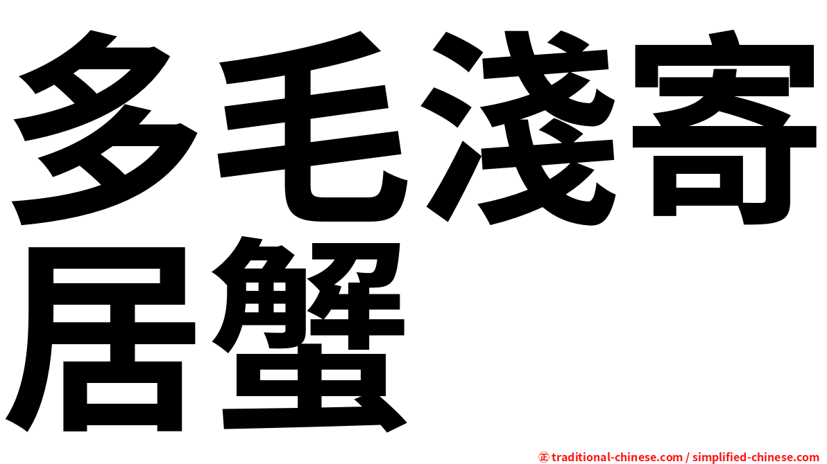 多毛淺寄居蟹