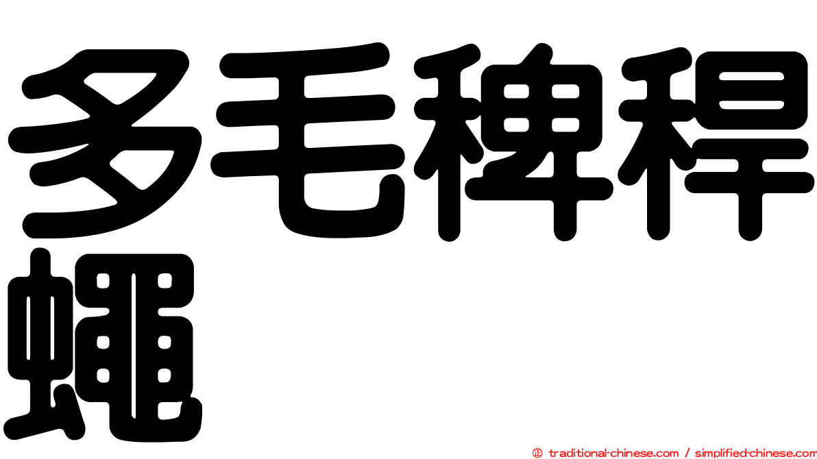 多毛稗稈蠅