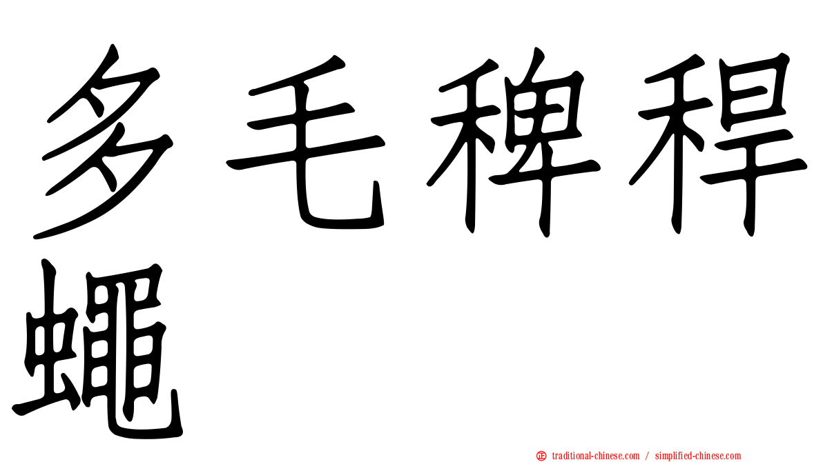 多毛稗稈蠅