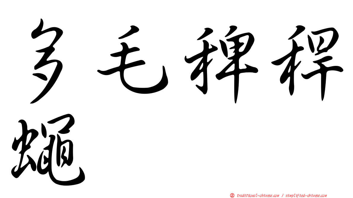 多毛稗稈蠅