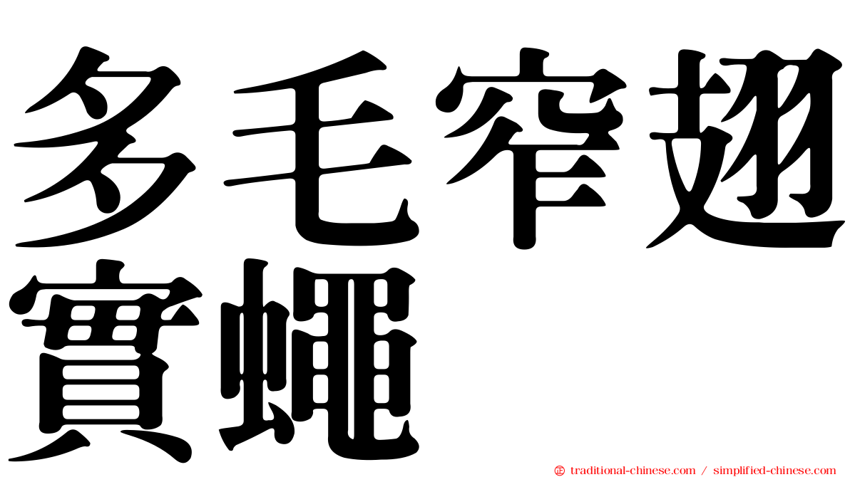 多毛窄翅實蠅